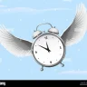 Timeflies